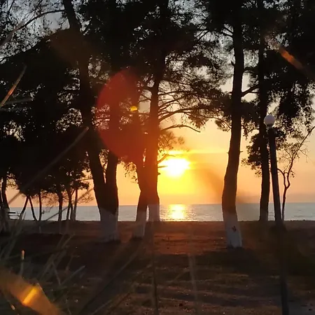 Bleu- 3* Πρίνος