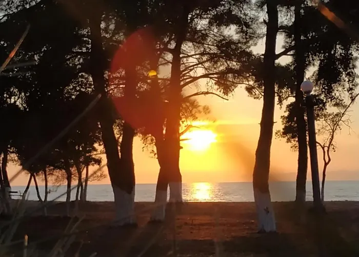 Bleu- 3* 프리노스