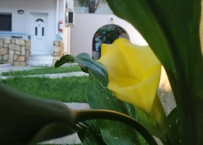 아파트호텔 Bleu-