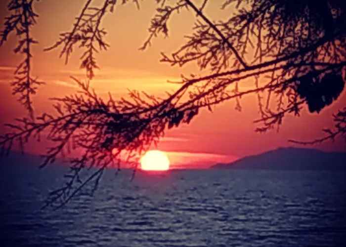 아파트호텔 Bleu- 3*